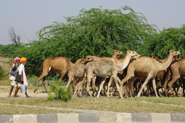 Urlaub in Indien 2016